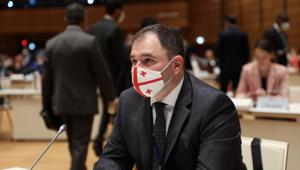 Формат „3+3 и надежды Кремля – интервью с председателем Парламентского комитета Грузии по  внешним связям