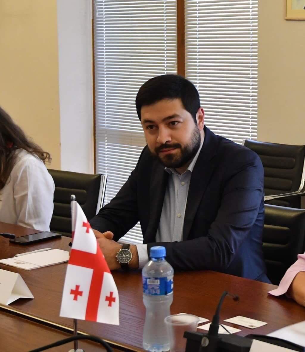 Georgian senior lawmaker calls ECR statement on Mikheil Saakashvili "hypocrisy"
