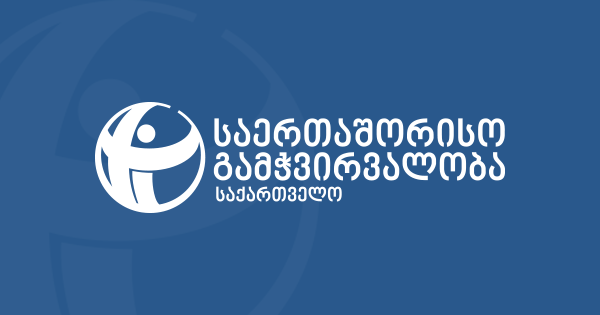 TI: 11– 13 ოქტომბრის პერიოდში საარჩევნო დარღვევების 8 ახალი შემთხვევა გამოვლინდა