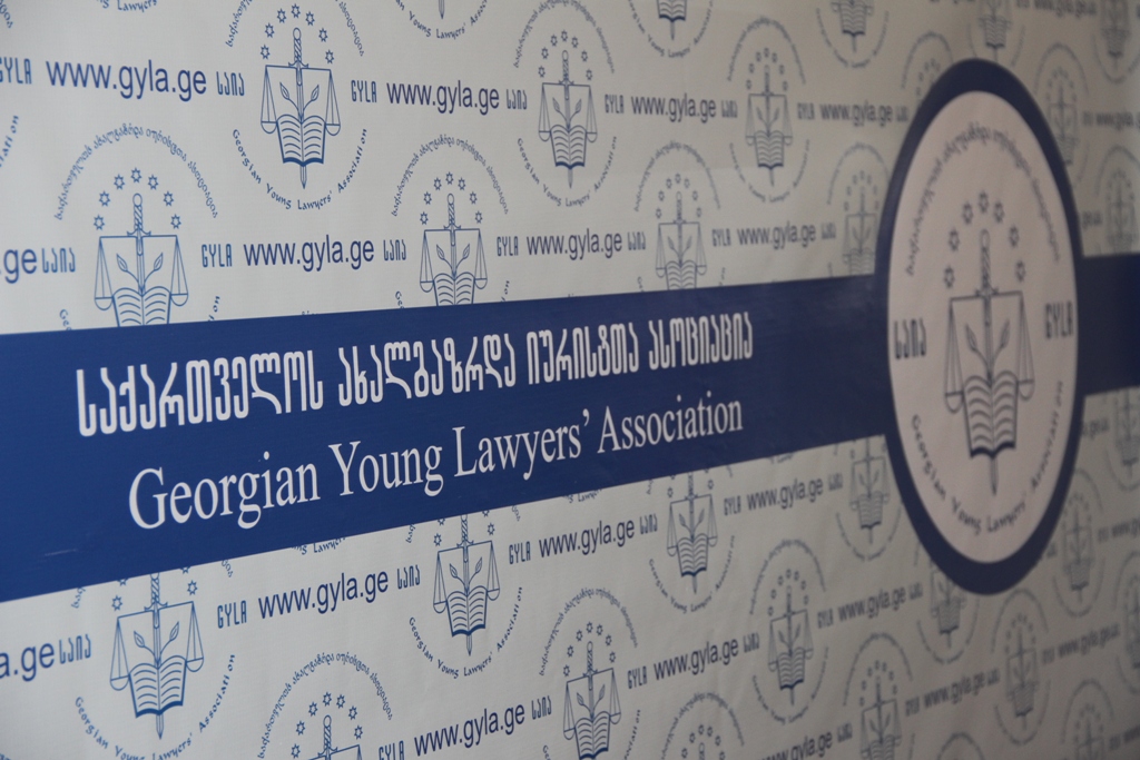 საიამ 2015 წლის 13 ივნისს ვერეს ხეობაში დაღუპული დავით გაბიტაშვილის საქმეზე სტრასბურგს მიმართა