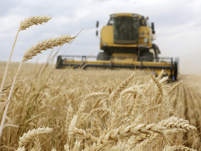 Slovakia temporarily suspends grain imports from Ukraine