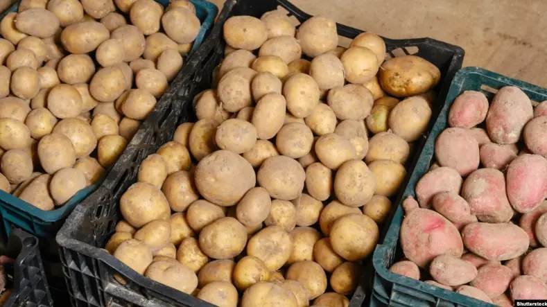 Экспорт картофеля из Грузии в Россию вырос в шесть раз