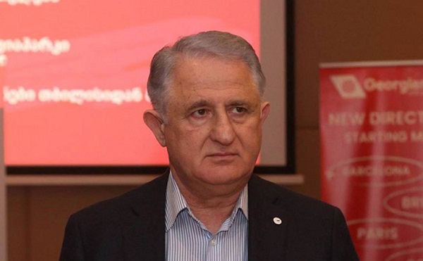 გაიაშვილი რუსეთთან პირდაპირი ფრენების აღდგენას მიესალმება