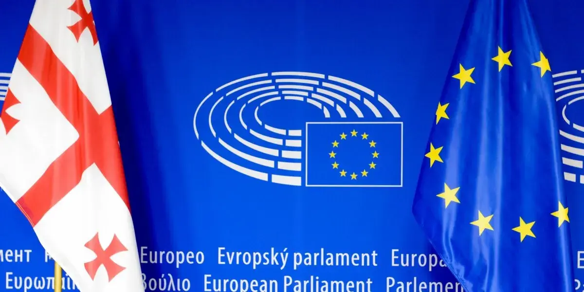 В Европарламенте состоятся дебаты по Грузии: в резолюции — призыв санкционировать Иванишвили