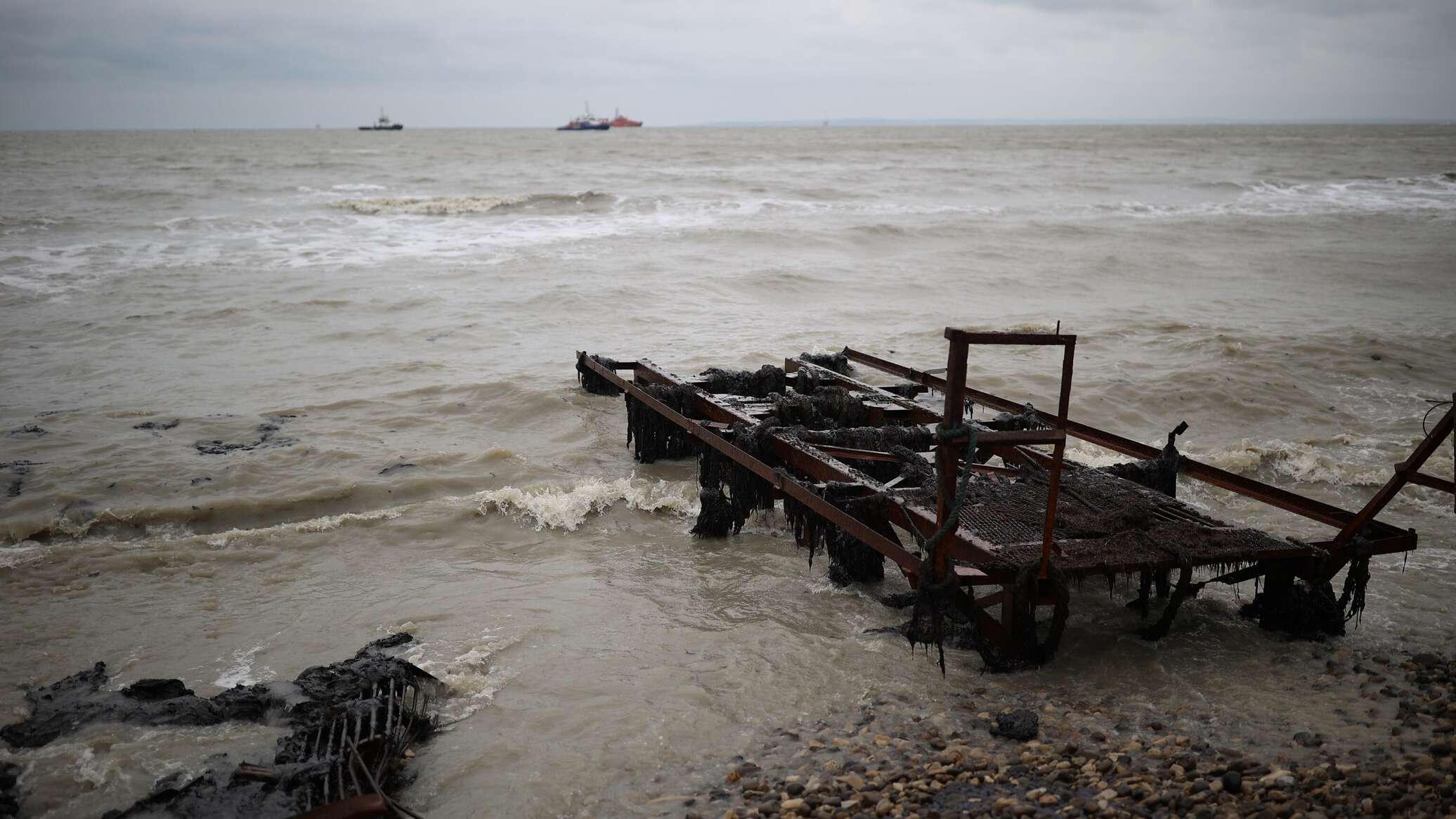 На 17 участках побережья Черного моря отмечены новые выбросы мазута