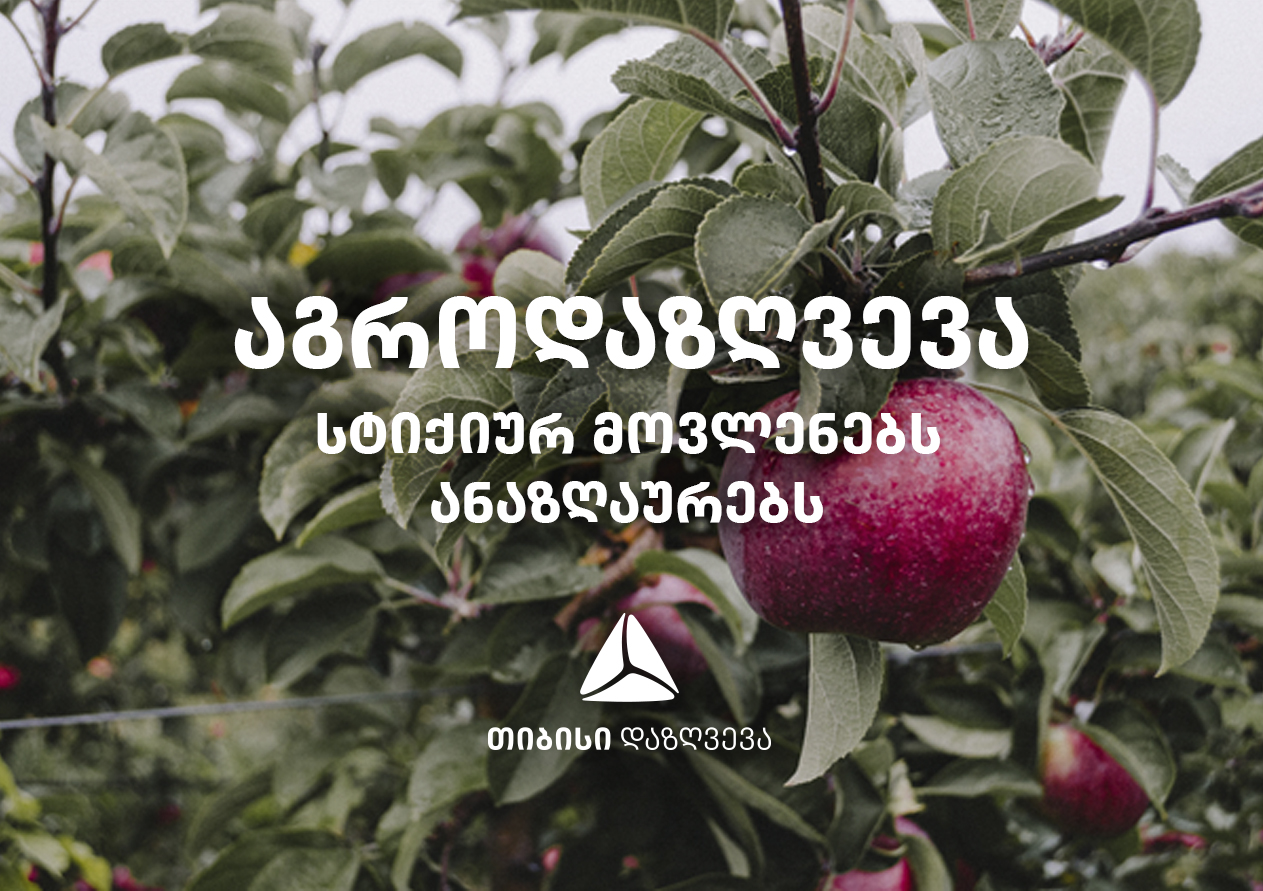 თიბისი დაზღვევა ფერმერებს სეტყვის შედეგად მიყენებულ ზიანს აუნაზღაურებს