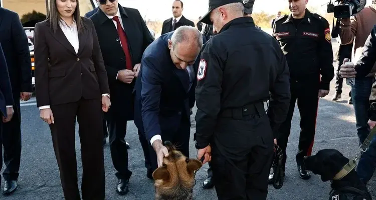 Армения запускает новую полицейскую службу для укрепления внутренней безопасности