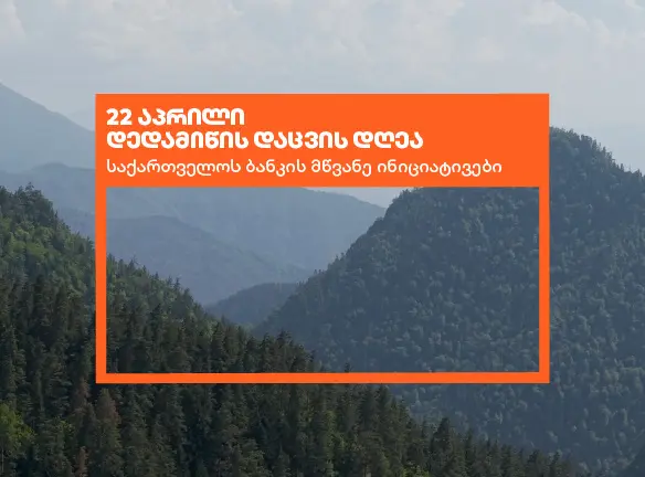 საქართველოს ბანკი დედამიწის დღეს მწვანე ინიციატივებს აჯამებს
