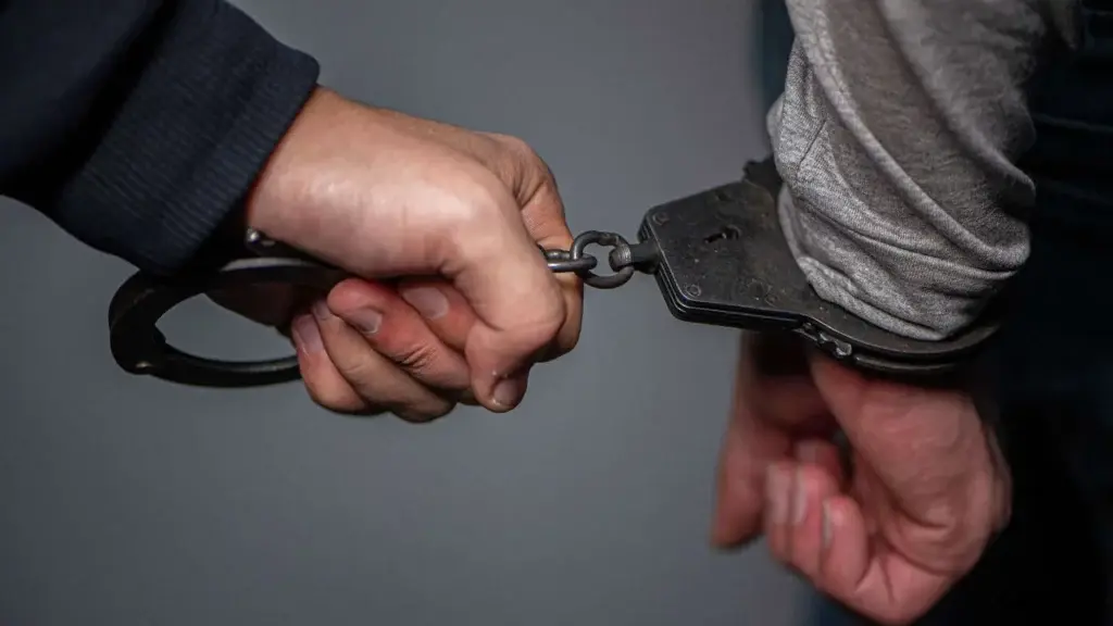 Член ЕНД Лаша Цанава заключен под стражу в качестве меры пресечения