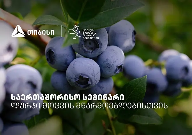 თიბისის მხარდაჭერით, ლურჯი მოცვის მწარმოებლებისთვის საერთაშორისო სემინარი გაიმართა