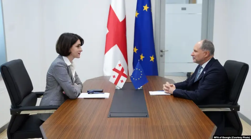 Глава МИД "Мечты" выслушала посла ЕС после его заявлений