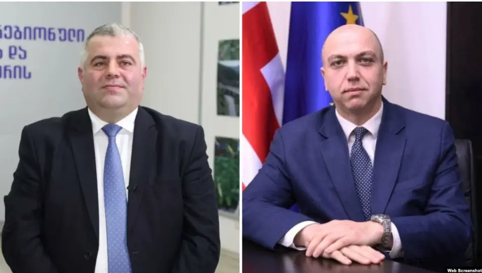 Задержан бывший замминистра инфраструктуры Грузии, проведён обыск в доме экс-министра