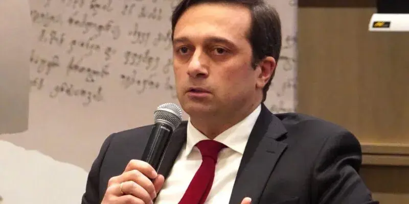 Омбудсмен Грузии оспорит конституционность ряда новых статей