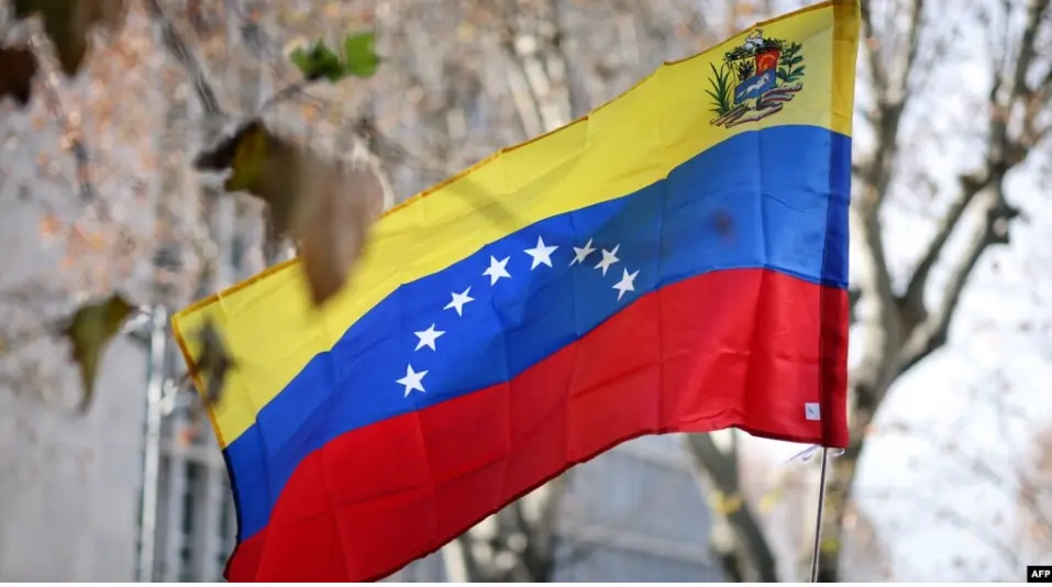 Грузия обсудила с Венесуэлой тему отзыва признания Абхазии и Южной Осетии