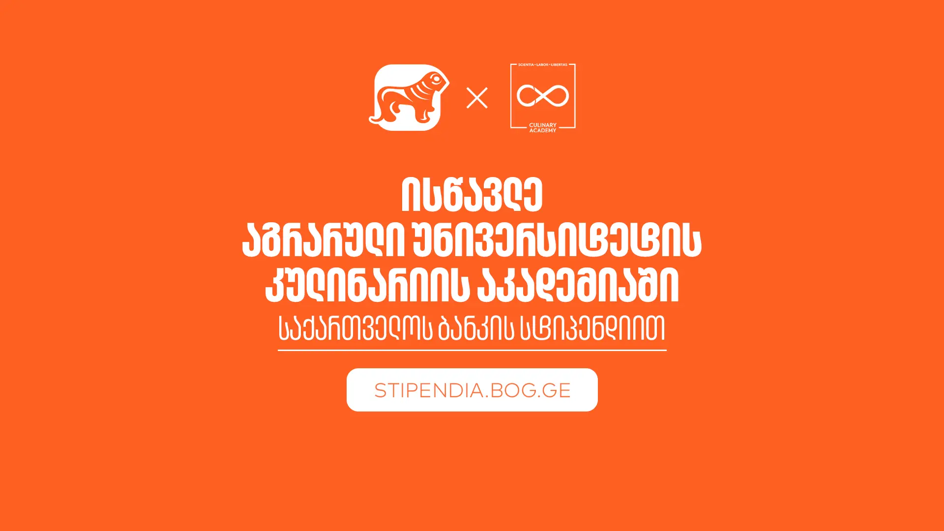 თუ პროფესიის შეცვლა გსურს, გახდი საქართველოს ბანკის სტიპენდიატი და ისწავლე აგრარული უნივერსიტეტის კულინარიის აკადემიაში სრული დაფინანსებით