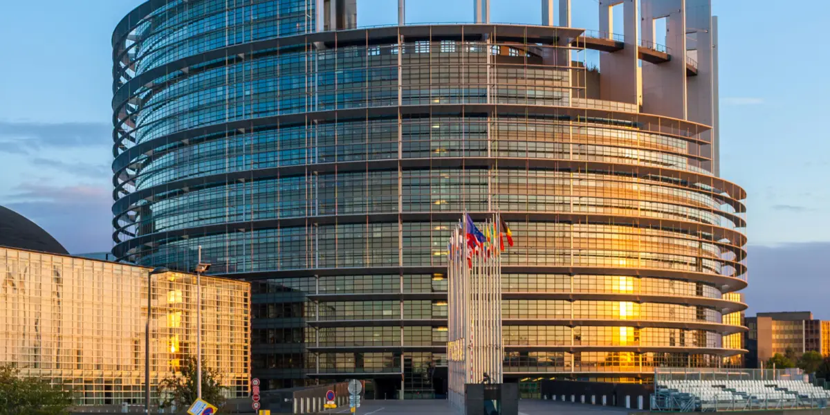 Политгруппа Европарламента внесла поправку в проект резолюции против «Мечты»