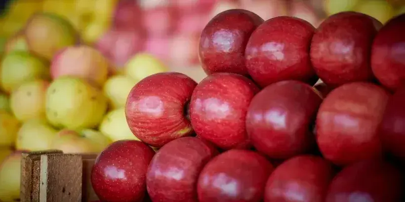 Минсельхоз: больше всего яблок Грузия экспортирует в Россию