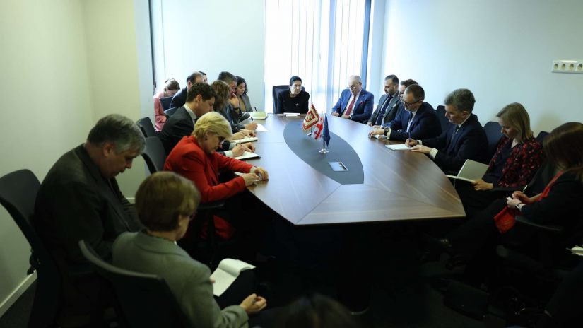 Зурабишвили провела встречу с представителями дипкорпуса