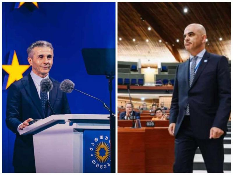 ევროსაბჭოს გენმდივანი განმარტავს, რაზე ისაუბრა ივანიშვილთან