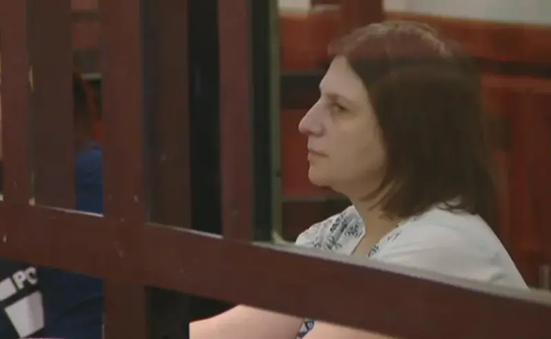 Mental health specialists: Nino Datashvili faces 20 days of forced psychiatric observation, whereas emotional lability does not constitute a basis for establishing insanity
