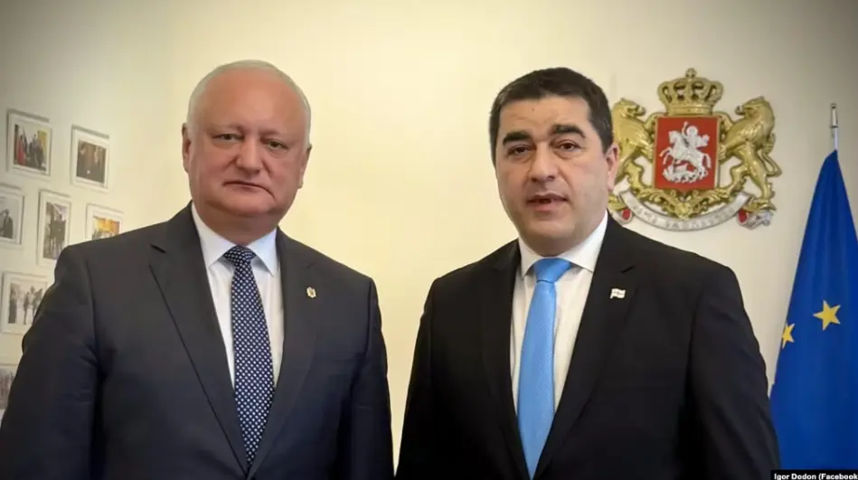 Шалва Папуашвили принял делегацию пророссийских депутатов Молдовы