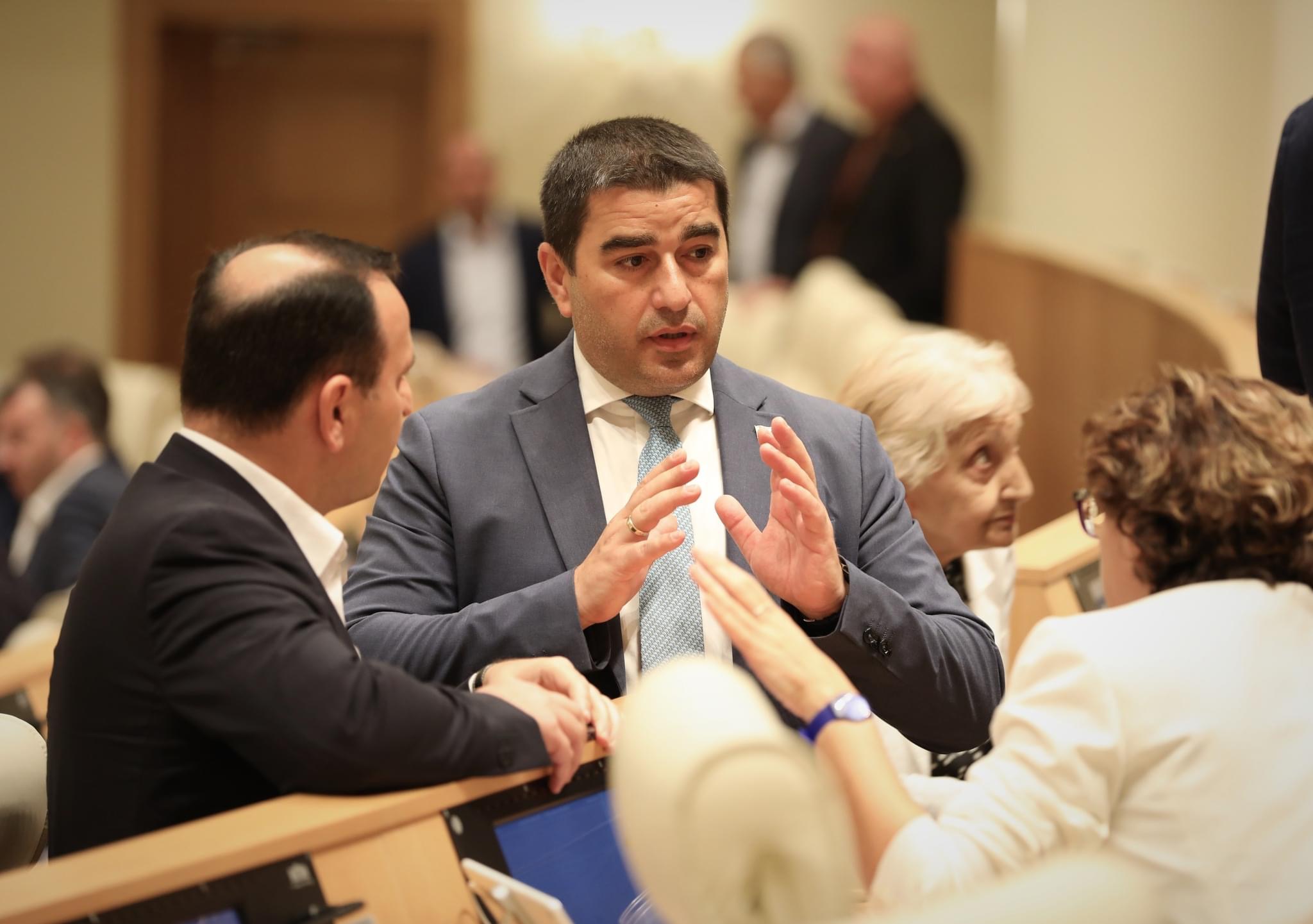 Speaker says Spain and Portugal support Georgia on European integration path