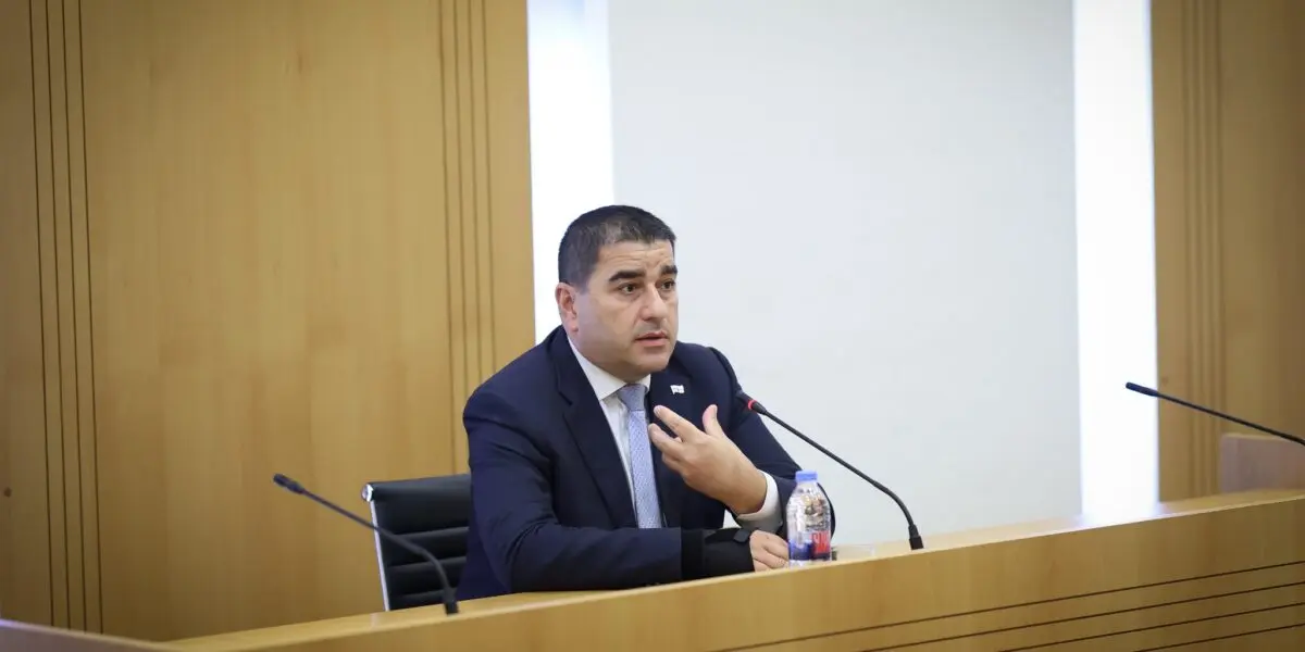 Судебный иск о запрете «коллективного Нацдвижения» готов — его представит спикер парламента Грузии