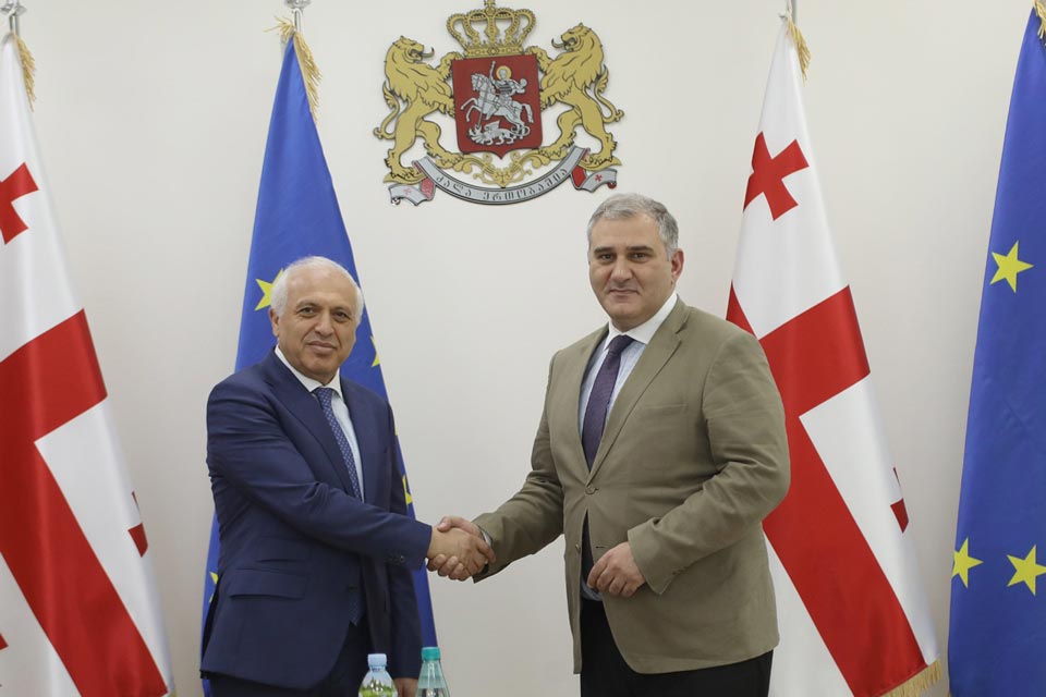 მიხეილ სარჯველაძე სომხეთის ელჩს შეხვდა