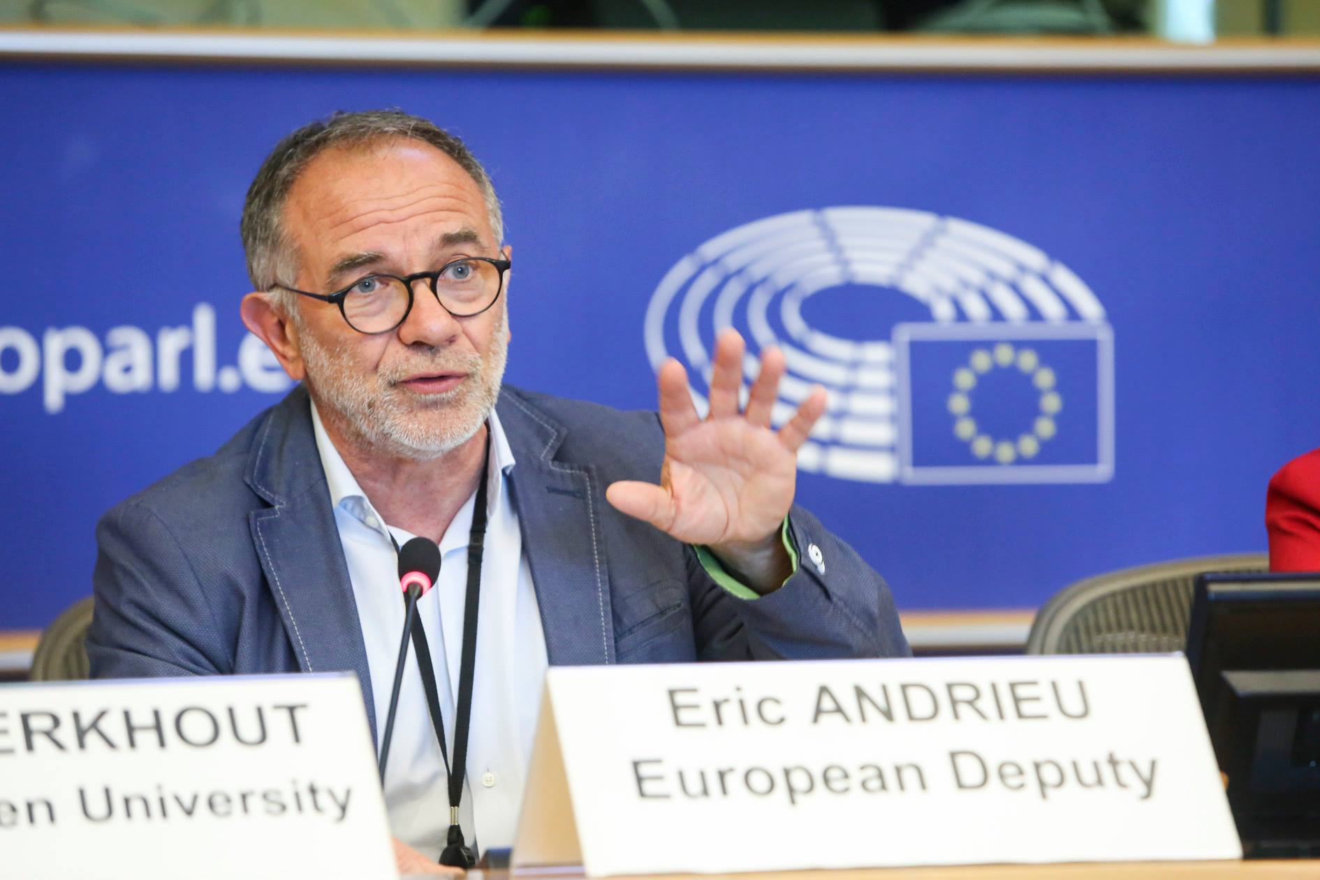 MEP Eric Andrieu - Georgia is showing that it is alongside the Ukrainians