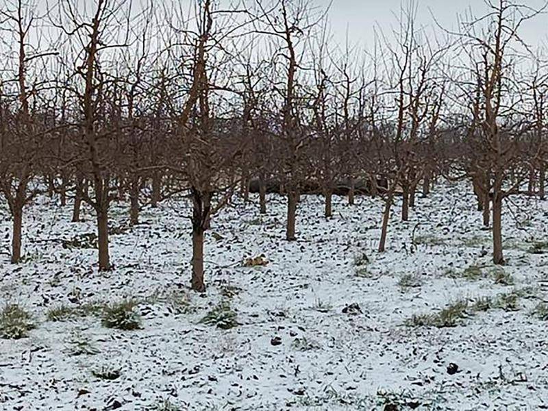 Moldovan police – we found missile debris in the north of the country