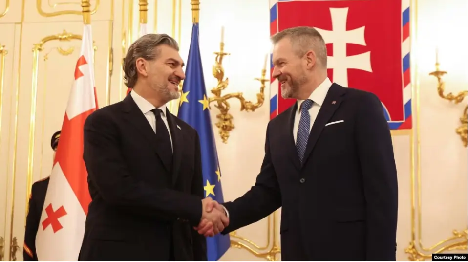 Михаил Кавелашвили поговорил с Петером Пеллегрини о евроинтеграции и мире