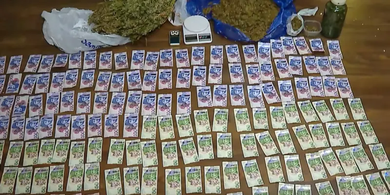 Россиянина в Тбилиси задержали за приобретение, хранение, сбыт и выращивание нарковеществ