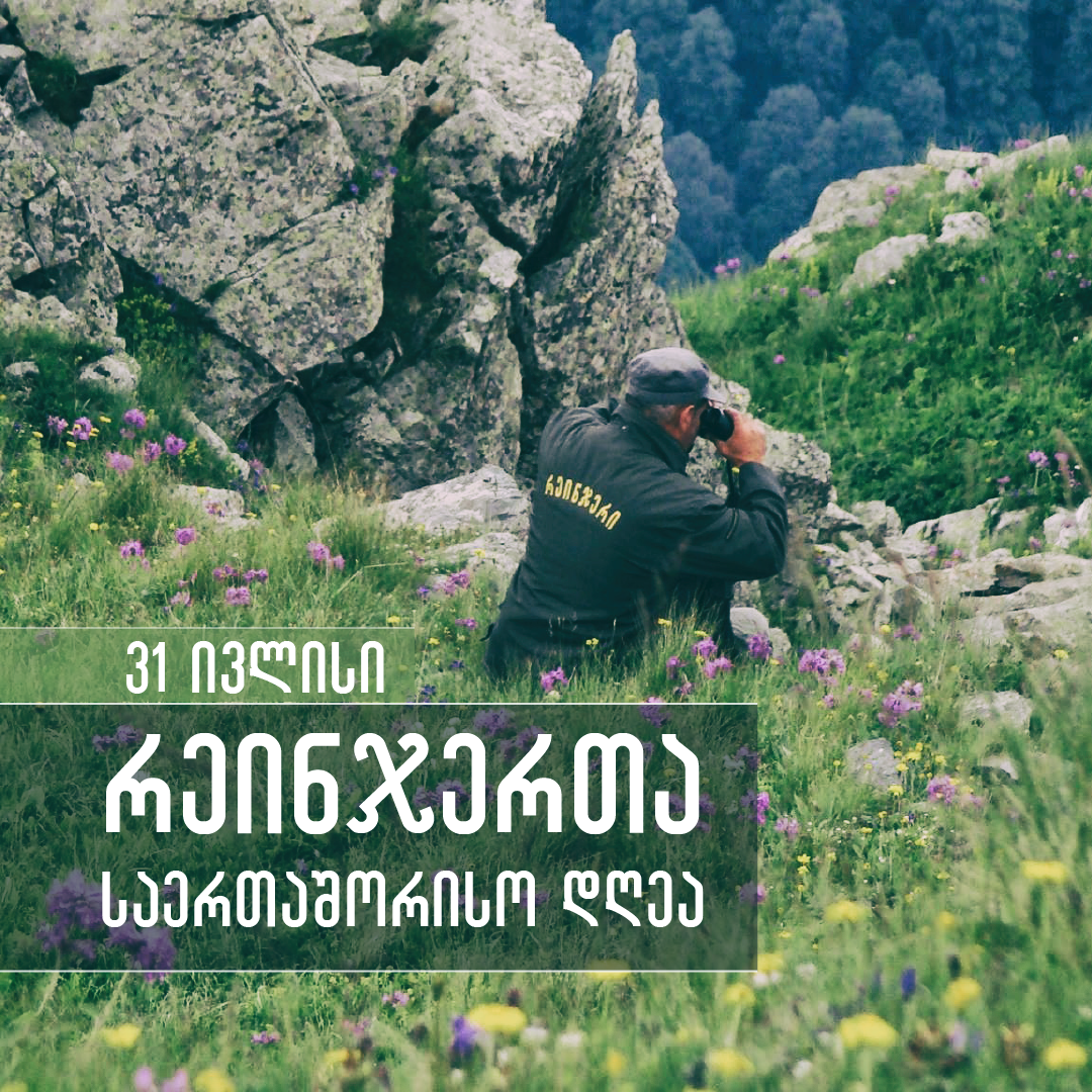 31 ივლისი რეინჯერთა მსოფლიო დღეა