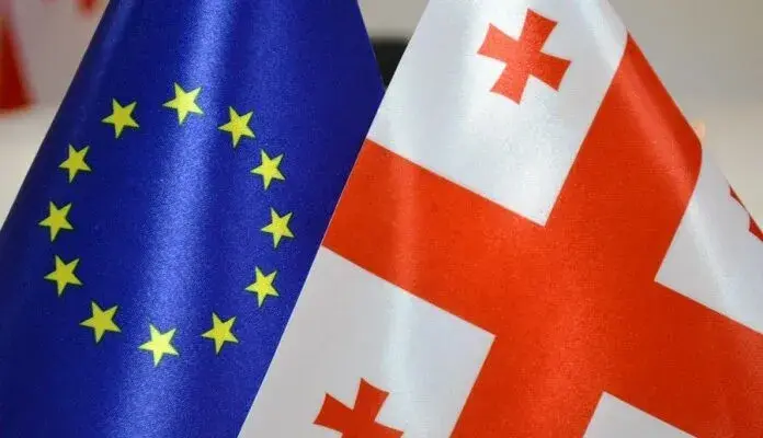 Совет Европы призвал Грузию пересмотреть законодательство о свободе собраний