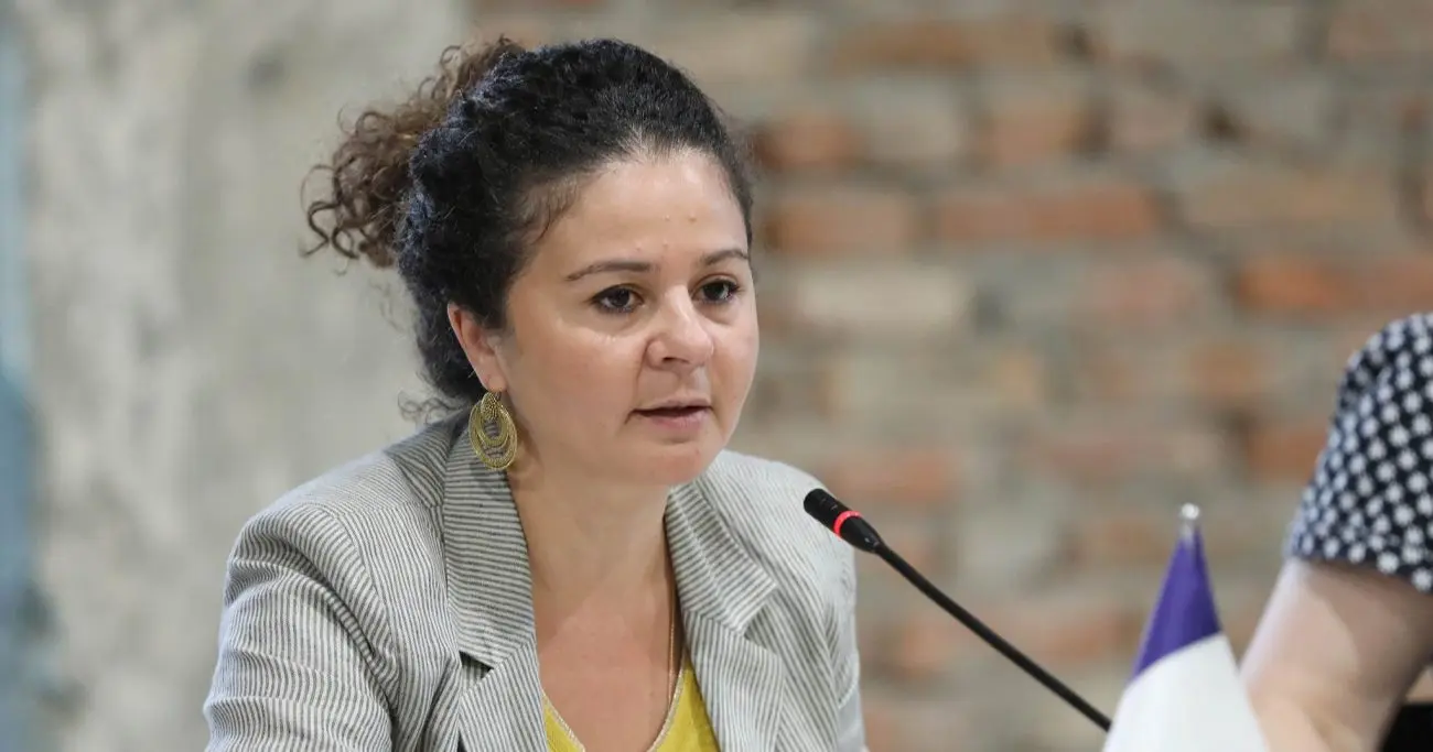 საქართველოში საფრანგეთის ელჩი: უვიზო მიმოსვლის შეჩერების მექანიზმი წინასწარ შეთანხმებული პროცედურაა ვალდებულებების დარღვევის დროს სწორ გზაზე დასაბრუნებლად