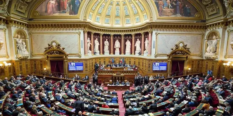 Сенат Франции подготовил проект резолюции по Грузии