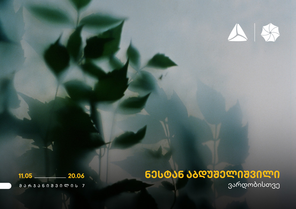 ნესტან აბდუშელიშვილის გამოფენა თიბისი კონცეპტში