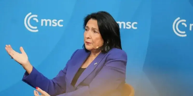 Саломе Зурабишвили: в парламенте создана комиссия миллионеров по ценам