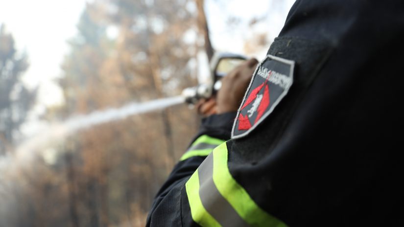 თბილისის ზღვის მიმდებარედ ზოოპარკის ტერიტორიაზე ხანძარი იყო