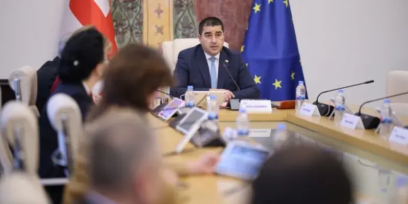 Спикер спорного парламента "Мечты" — о поправках в закон «О грантах»: иностранному финансированию нечего делать в грузинской политике