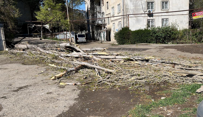 ძლიერი ქარის გამო ვარკეთილში ხე წაიქცა და ორ ადამიანს დაეცა