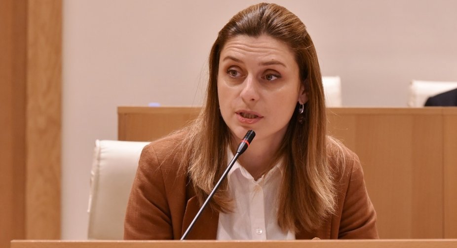 თეონა აქუბარდია: არასარწმუნოა, რომ დავით ხიდაშელს მხოლოდ რჩევებს ეკითხებოდნენ