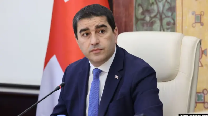 «С ними говорить не о чем» - Папуашвили о возможности начать диалог с оппозицией