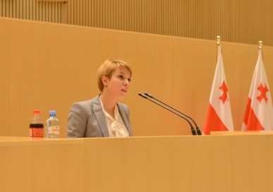 თემირლანის საქმე: რა შემთხვევაში უნდა შეიქმნას საგამოძიებო კომისია