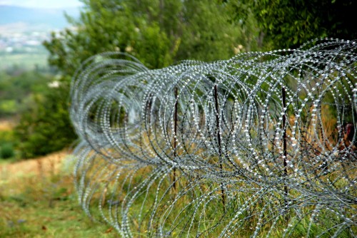 Освобожден гражданин Грузии, задержанный российскими военными у села Земо Арцеви