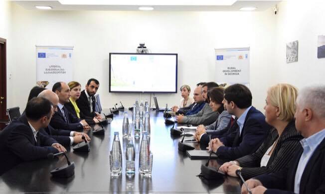 საქართველოში ტყის აღრიცხვის სამუშაოები დაიწყო