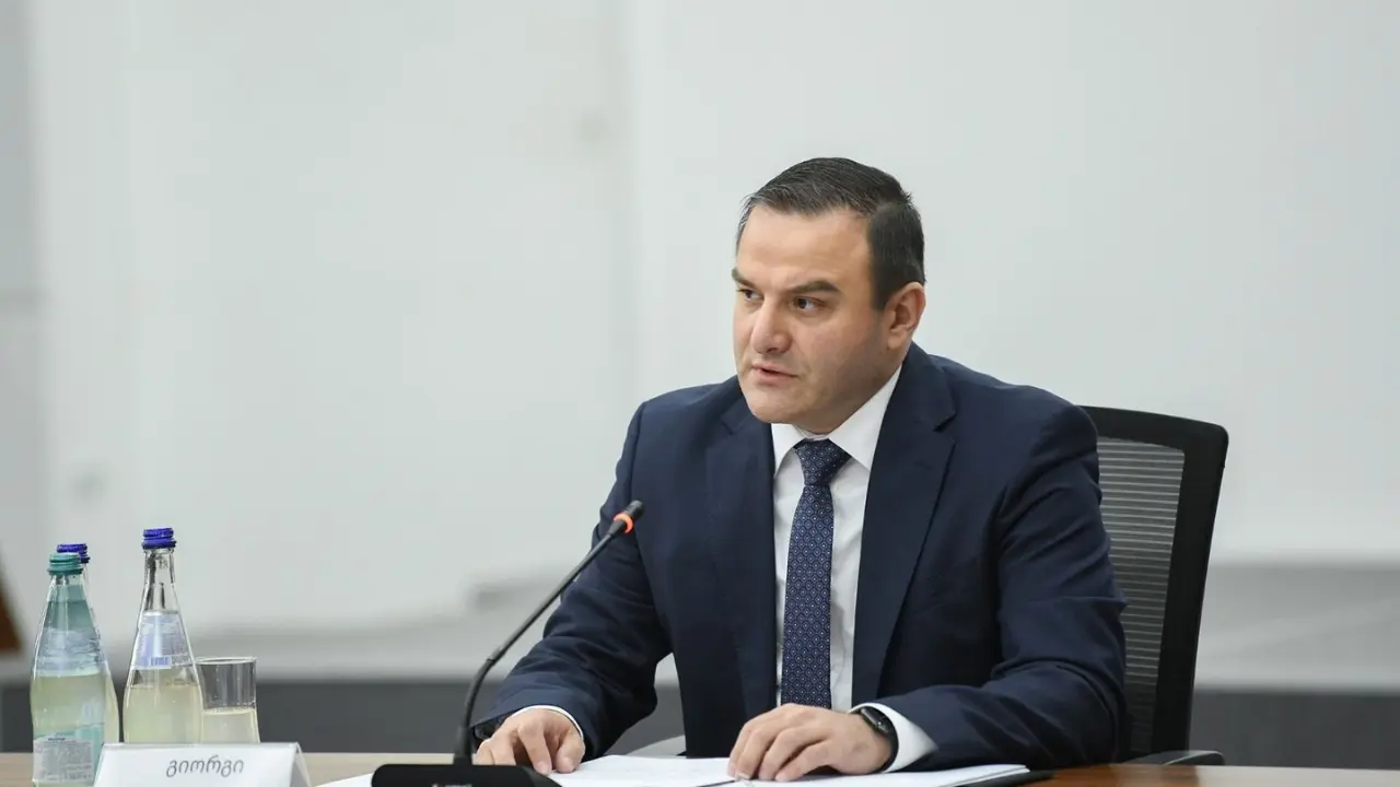 Giorgi Gabitashvili, who until now held Prosecutor General’s post, nominated for Auditor General’s position