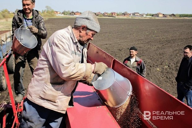 РФ повысит экспортную пошлину на пшеницу более чем на 40%