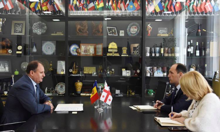 ლევან დავითაშვილი მოლდოვის რესპუბლიკის ელჩს შეხვდა
