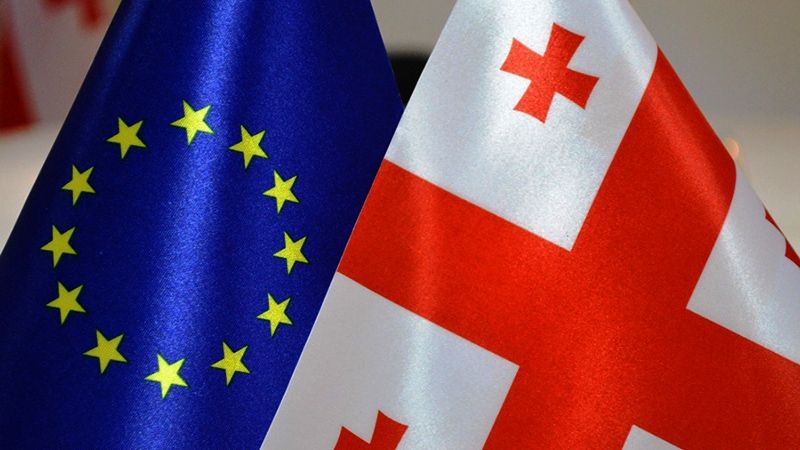 ЕС запустил программу поддержки гражданского общества в Грузии